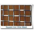 square opening wire mesh(competetive price)